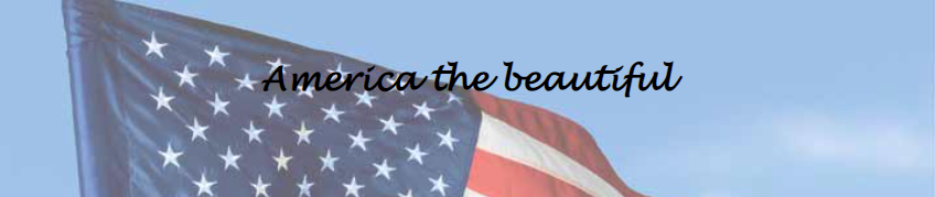 USA Flag-America the Beautiful